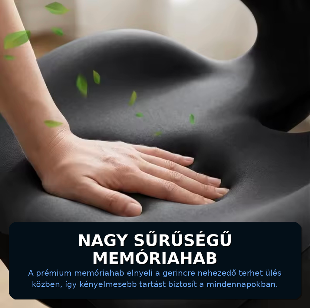 ErgoSit tartáspárna